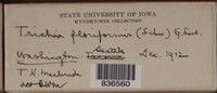 Image Associated With the Occurence